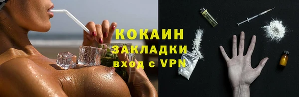 прущие грибы Гусиноозёрск